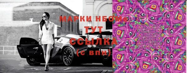 ГАЛЛЮЦИНОГЕННЫЕ ГРИБЫ Михайлов