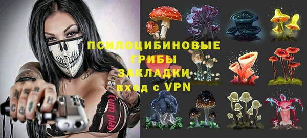 бошки Алексин