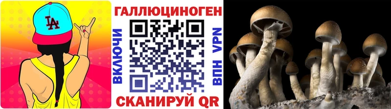 Галлюциногенные грибы мухоморы Юрьев-Польский